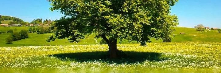 deependra0095's profile banner image