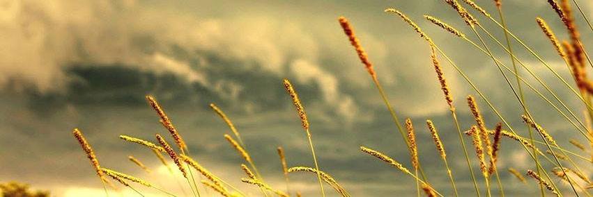 baran____34's profile banner image
