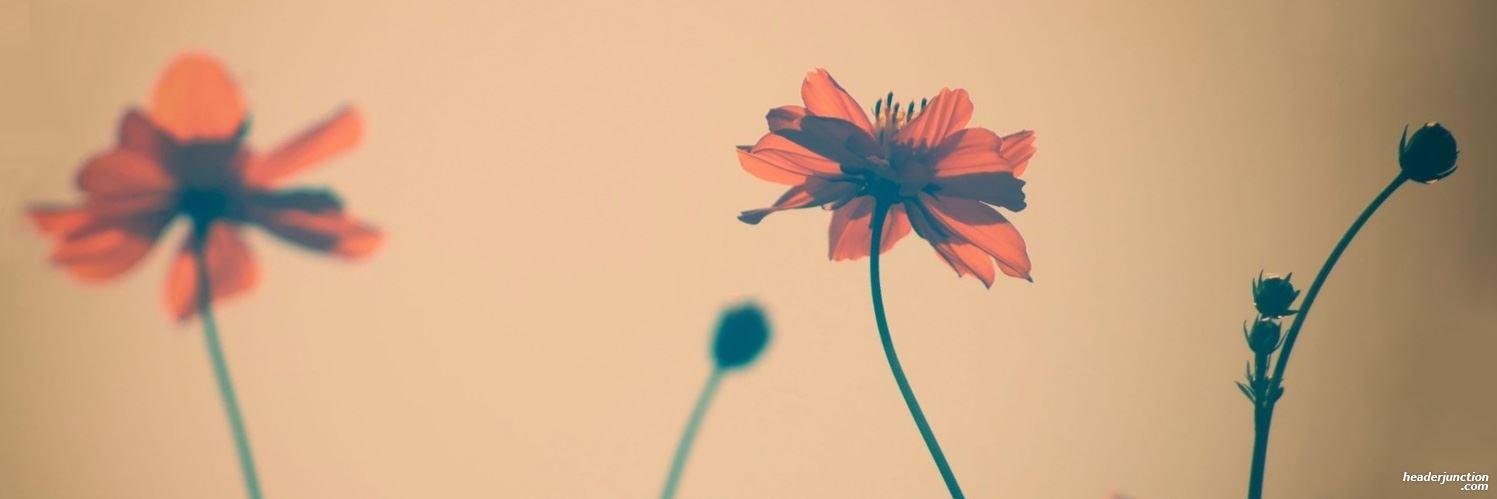 Atif_Sahito's profile banner image