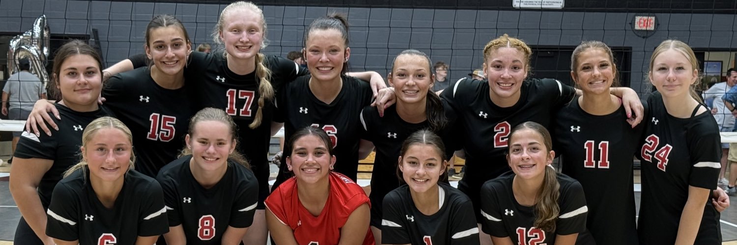 Panthers Volleyball banner