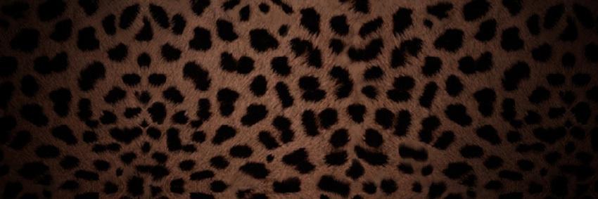 KrisleinyL's profile banner image