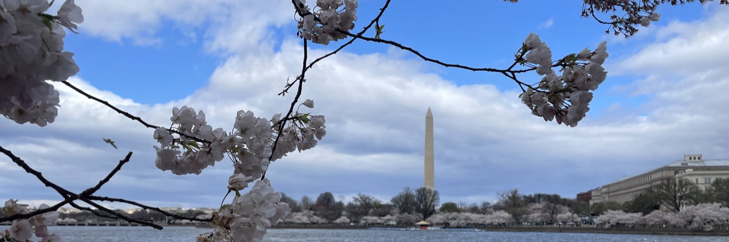 Stetson Miller banner