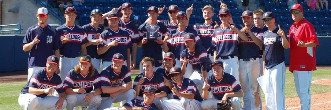 Bulldog Baseball Club banner