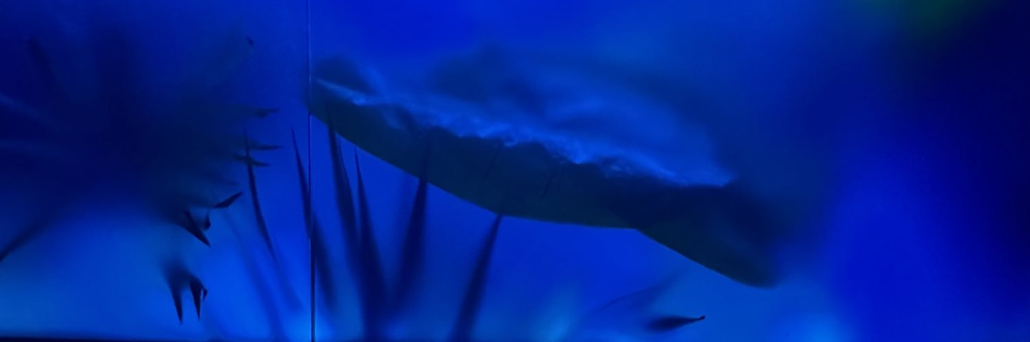 millaaa171's profile banner image