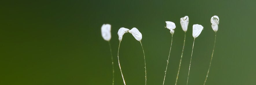 Valealbornozg's profile banner image