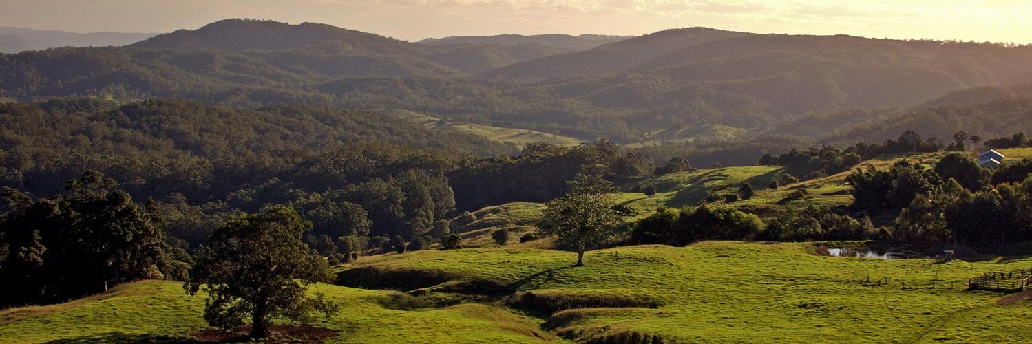 Western Alliance banner