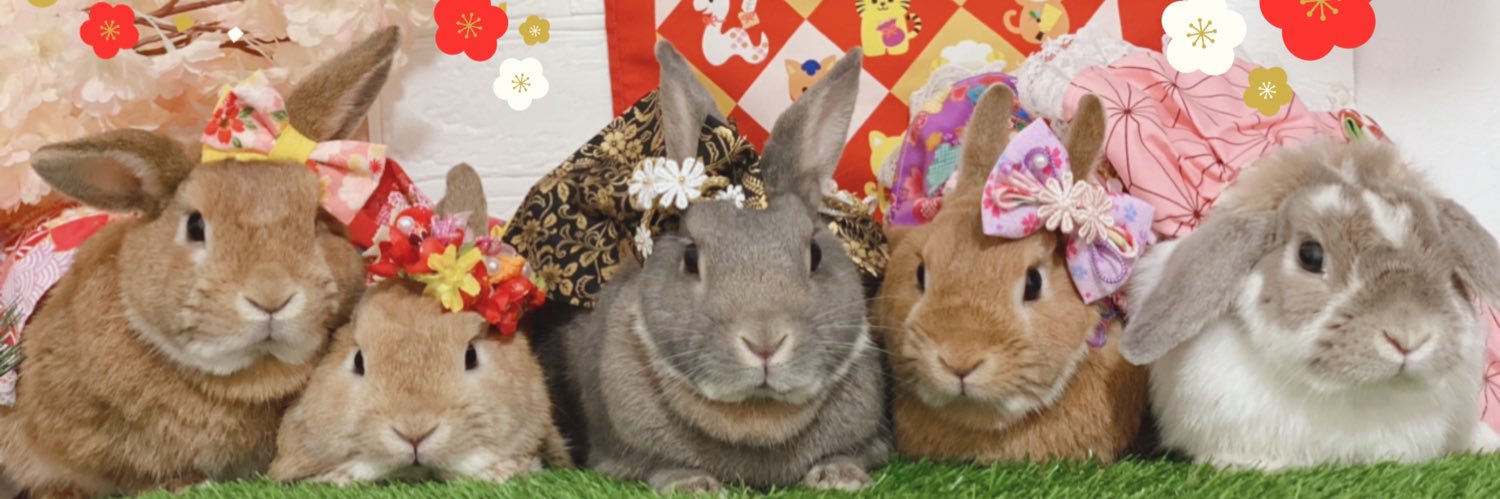 48Hityako's profile banner image
