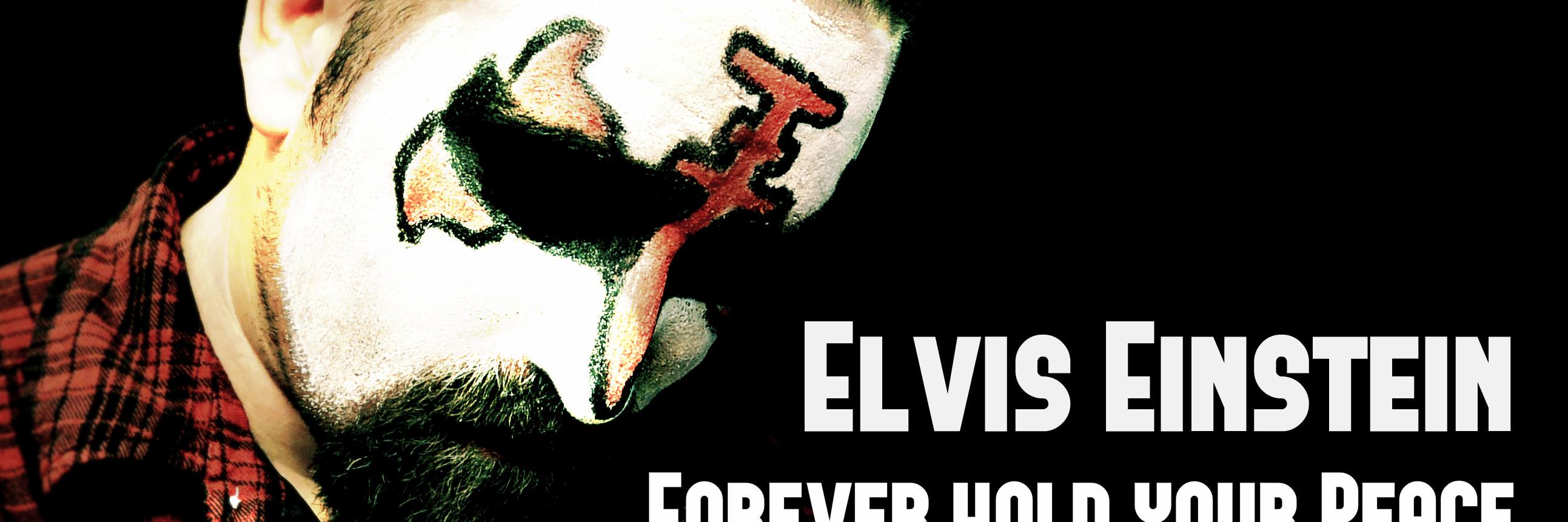 ElvisEinstein1's profile banner image