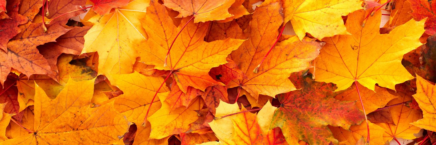 Sacred Heart HS banner