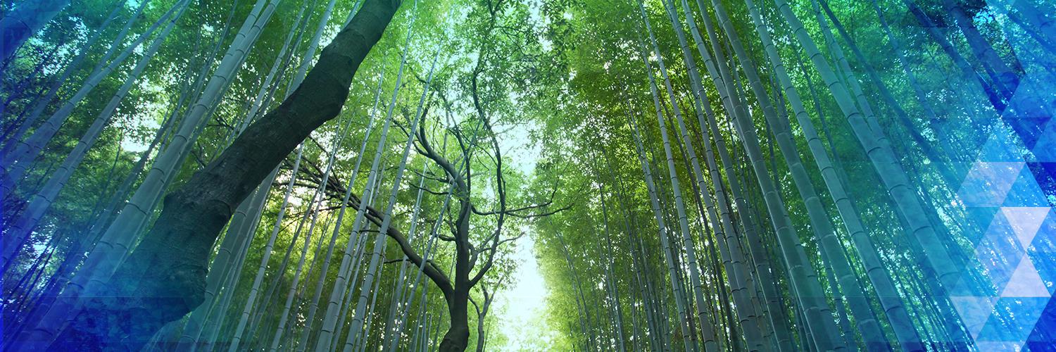ecofloracares's profile banner image