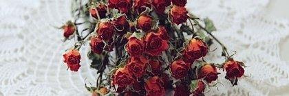 HM_ER_S's profile banner image