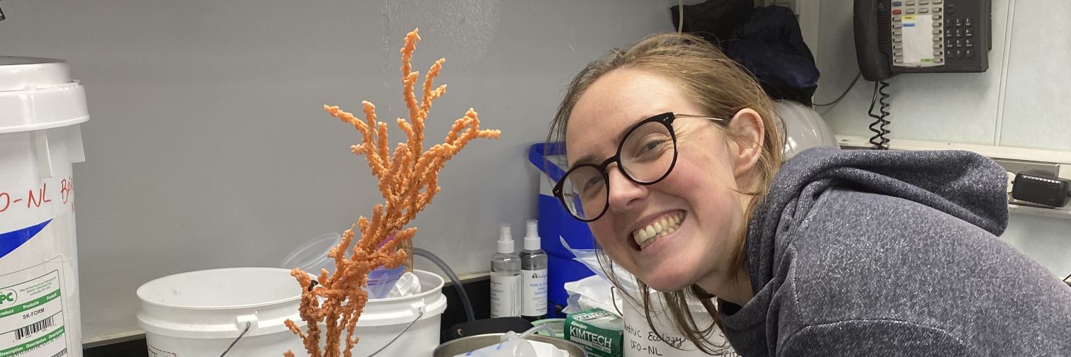 Sophie, formerly a lophotrochozoan banner