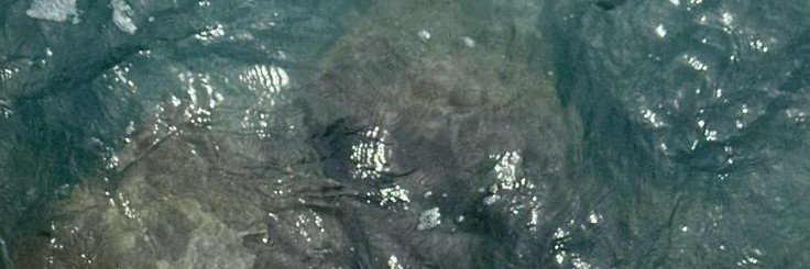 imdinihere's profile banner image