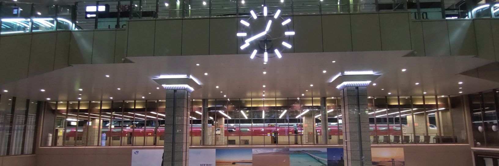 🌌たぬきさん🌠 banner