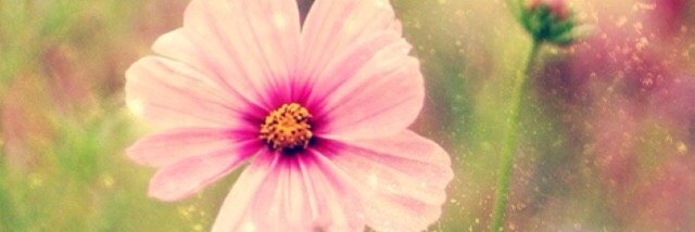 jennaef2013's profile banner image