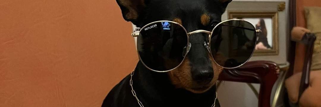 joanafsr00's profile banner image