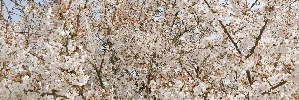 yoonkooked's profile banner image