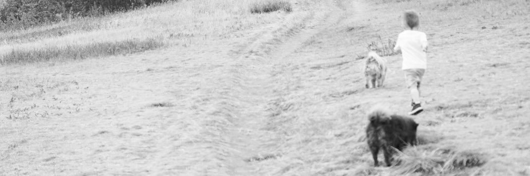 Michelle McGrattan banner