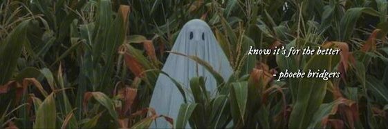 cindespair's profile banner image