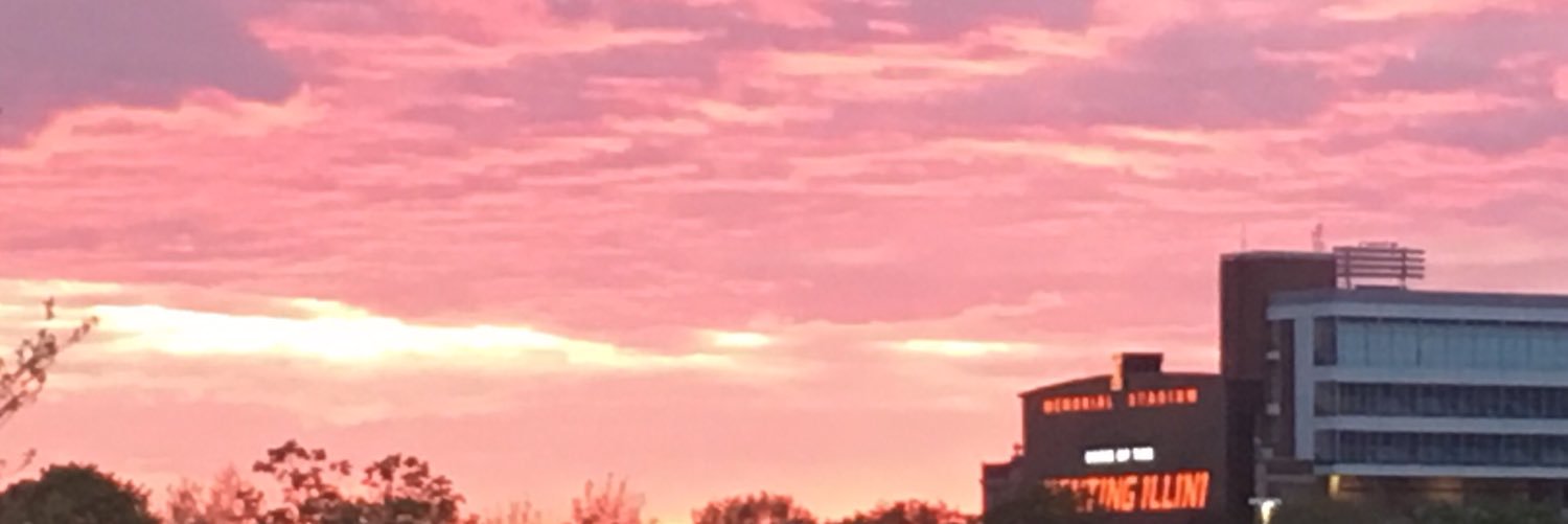 White_Lightninq's profile banner image