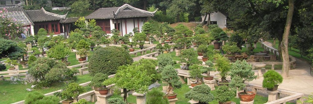 Vas Angelidis banner