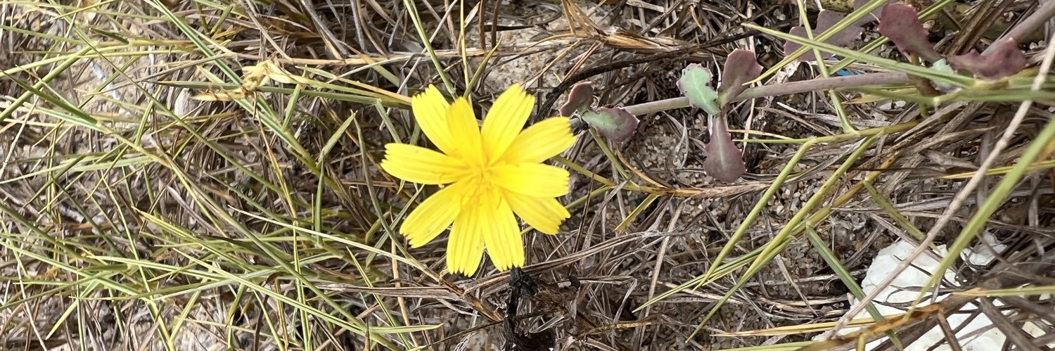 T10802001's profile banner image