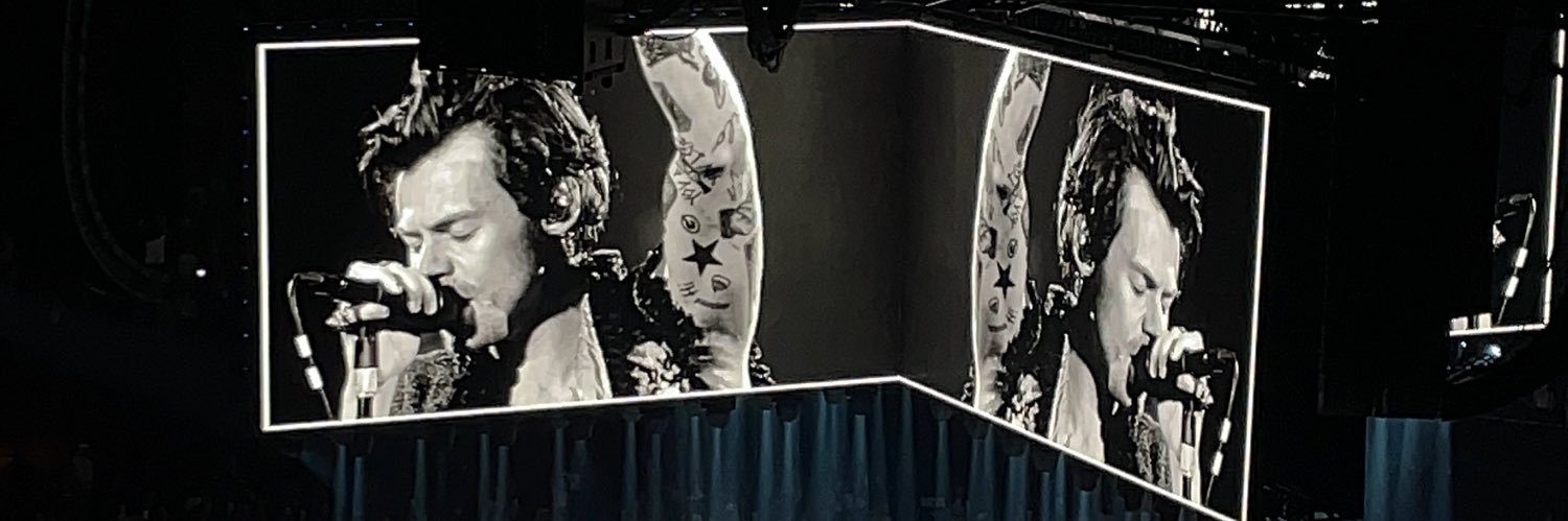 dindilouise's profile banner image