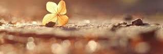 Ahmad_7489's profile banner image