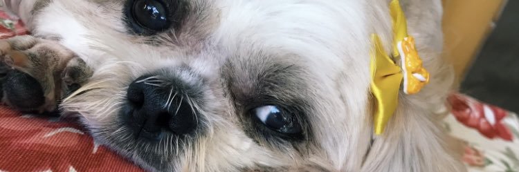 dudaer_'s profile banner image