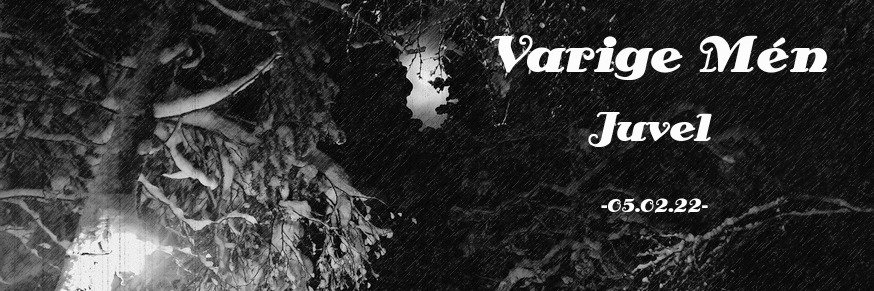 VarigeMen's profile banner image