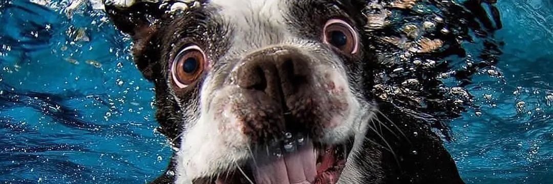 diegomvlp's profile banner image
