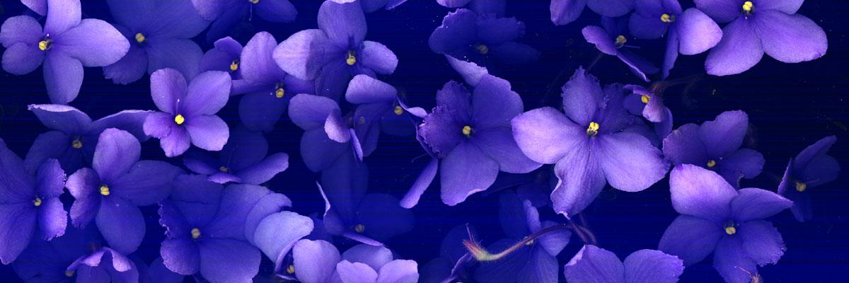 robyearby's profile banner image