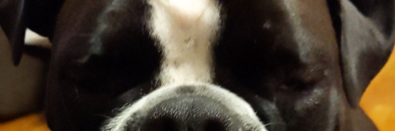 Triple J banner
