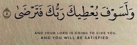 🇧🇩🐅🇵🇸 banner