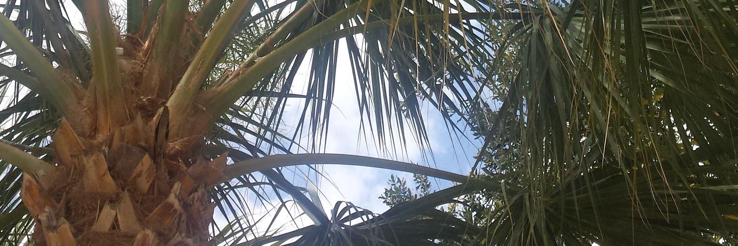 MaryDAHall's profile banner image