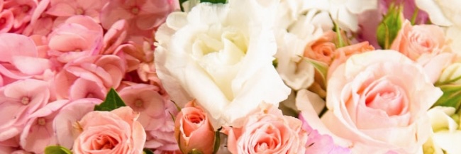 QGFloral's profile banner image