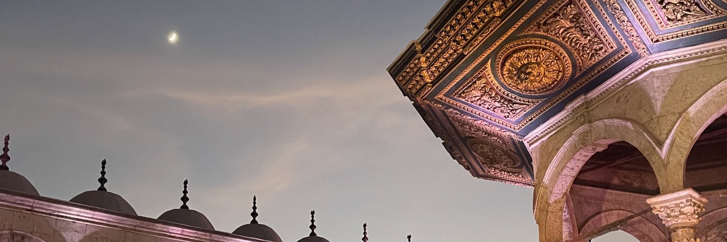 malakshadyaly's profile banner image