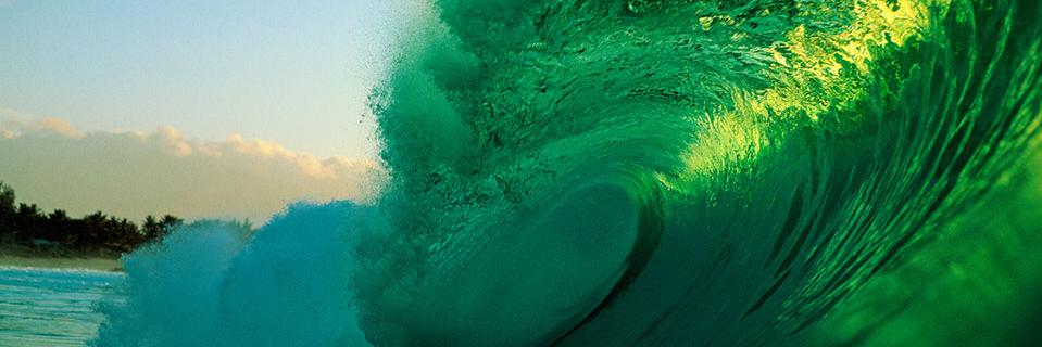 Ride the Green Wave banner