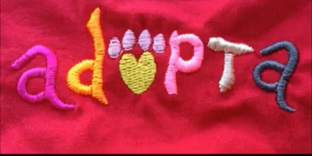 Elizaf_8's profile banner image