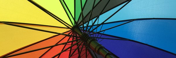 CommonsWEC Profile Banner