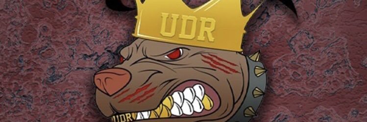 DannonJr's profile banner image