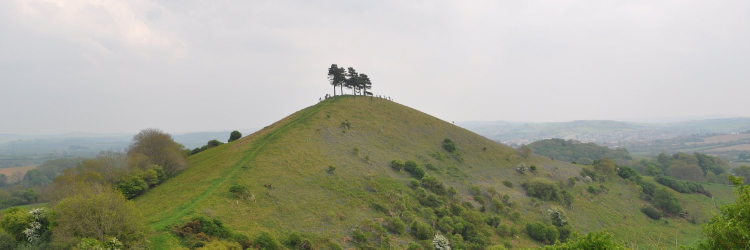 BCFBridport's profile banner image