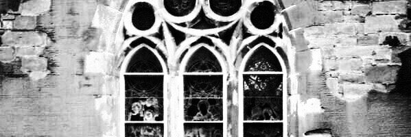 SilverDollaClub banner