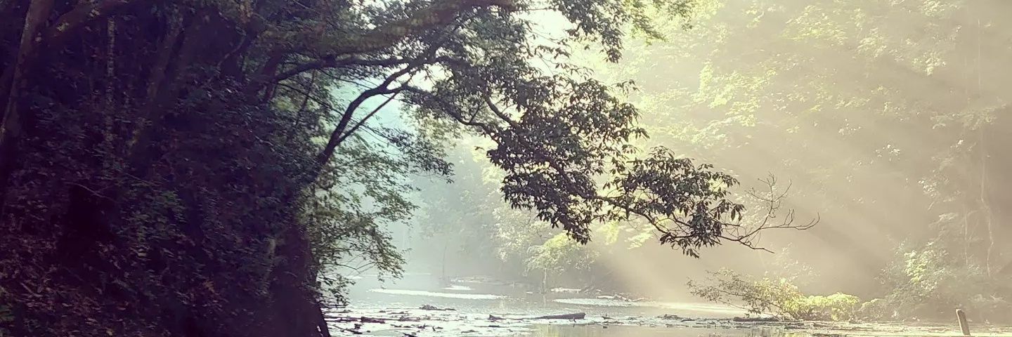 mpqfr0071's profile banner image