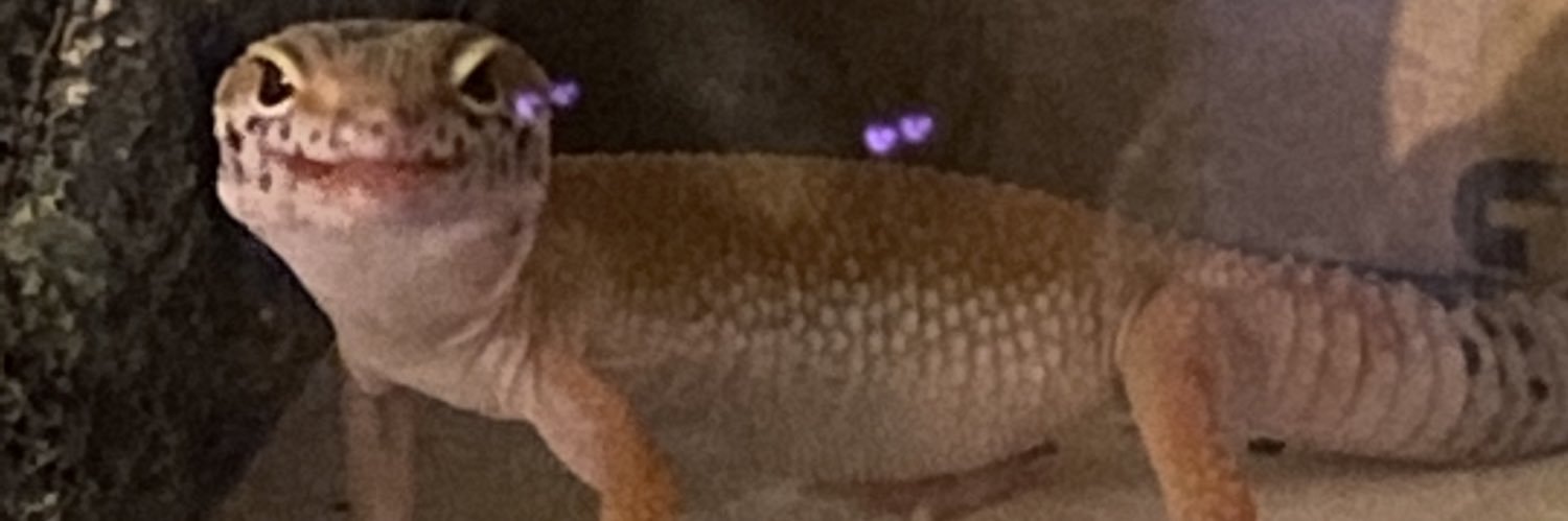 jtdemario's profile banner image