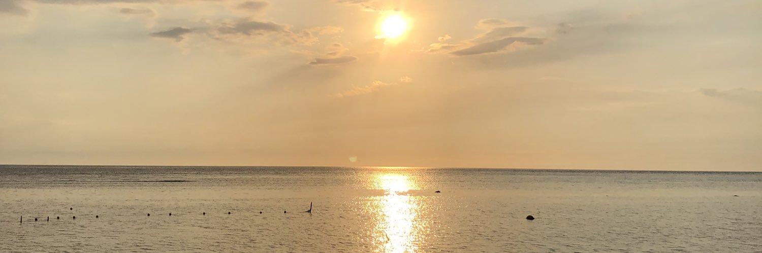 tsunamupapi's profile banner image