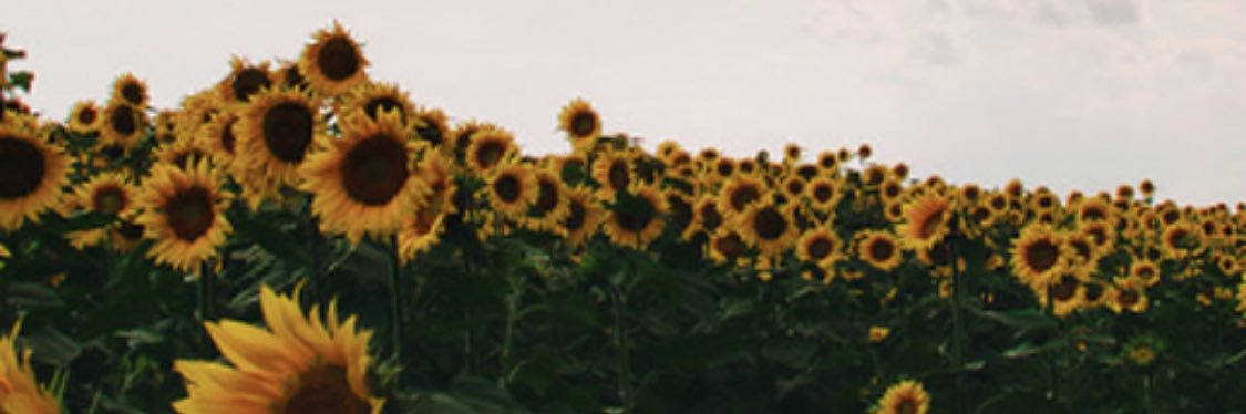 Sammy_Sprinkle4's profile banner image