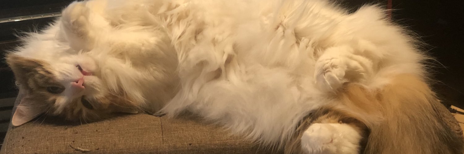 amespi_ice's profile banner image