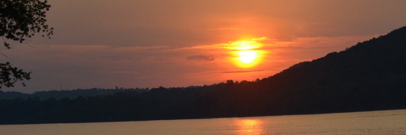 mrsschneida's profile banner image