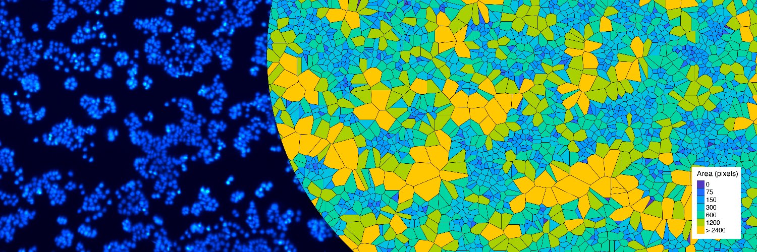 Vincent de Boer banner